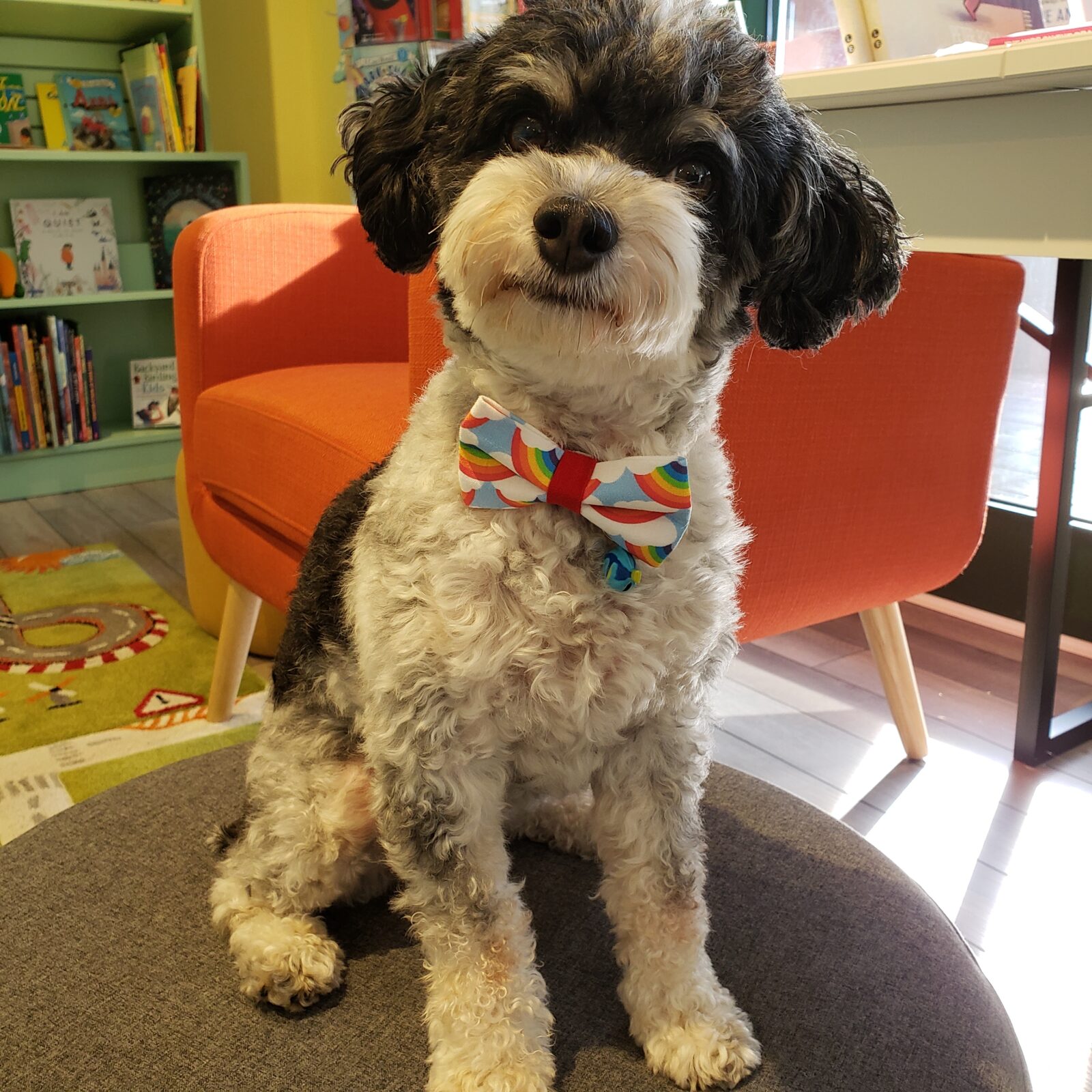 George with Pride bow-tie